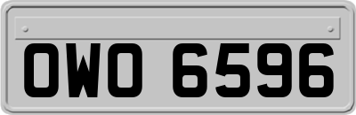 OWO6596