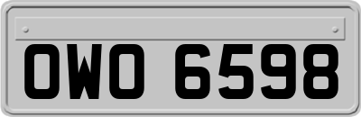 OWO6598