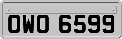 OWO6599