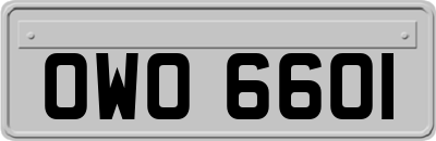 OWO6601