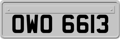 OWO6613