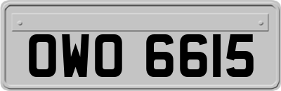 OWO6615
