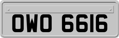OWO6616