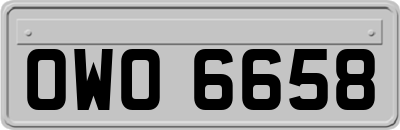 OWO6658