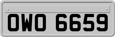 OWO6659