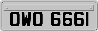 OWO6661