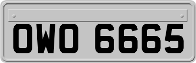 OWO6665