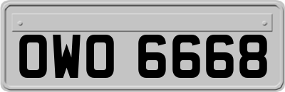OWO6668