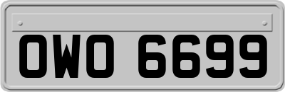 OWO6699
