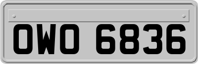 OWO6836