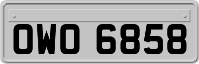 OWO6858