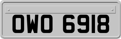 OWO6918