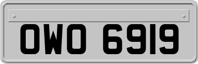 OWO6919