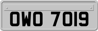 OWO7019