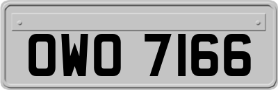 OWO7166
