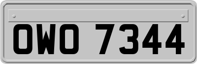OWO7344