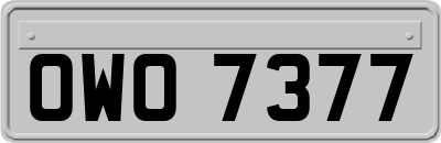 OWO7377