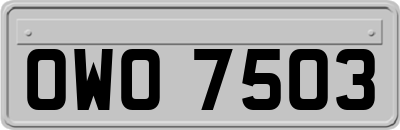 OWO7503