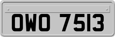 OWO7513