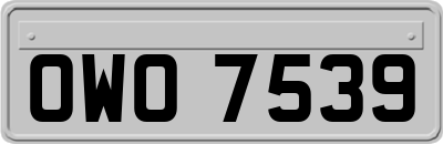OWO7539