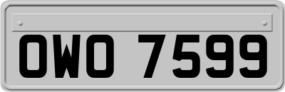 OWO7599