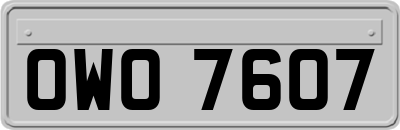 OWO7607