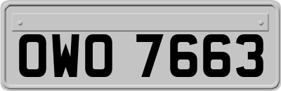 OWO7663