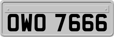 OWO7666