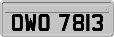 OWO7813