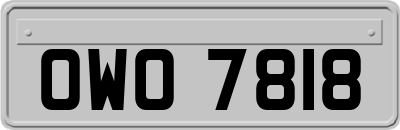 OWO7818