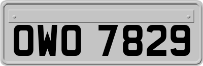 OWO7829