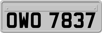 OWO7837