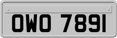 OWO7891