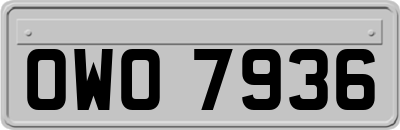 OWO7936