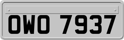 OWO7937