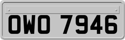 OWO7946