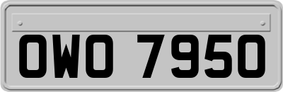 OWO7950