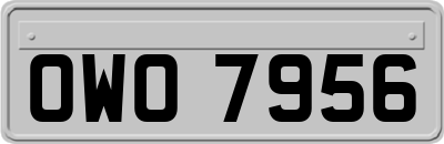OWO7956