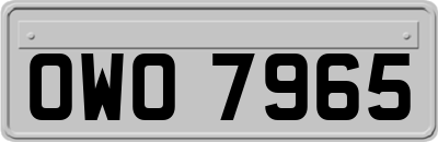 OWO7965