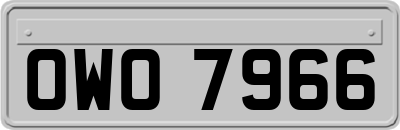 OWO7966