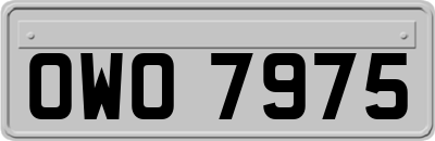 OWO7975