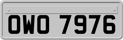 OWO7976
