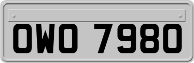 OWO7980