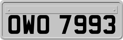 OWO7993