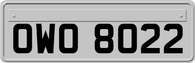 OWO8022