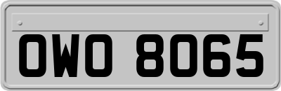 OWO8065