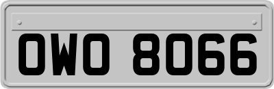 OWO8066