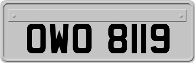 OWO8119