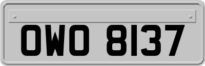 OWO8137