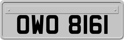 OWO8161